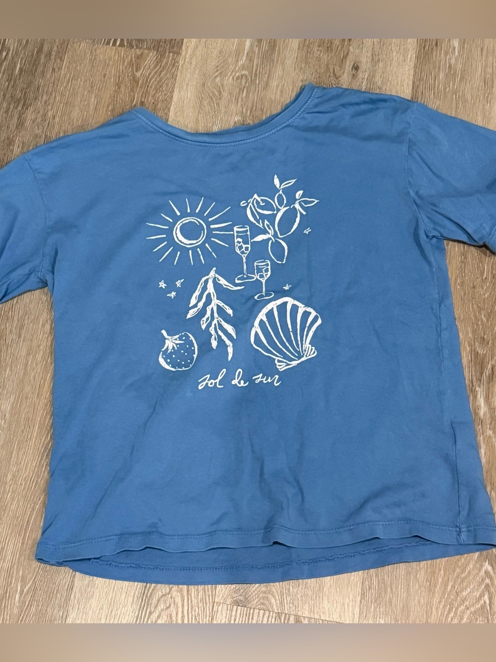 C&C California Sol De Sur Coastal Sun Seashell Boxy Cotton Graphic Tee Med M